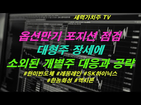 [주식 03.12) 옵션만기 포지션점검,대형주장세,소외된 개별주 대응과 공략주( #한미반도체 #레몽레인 #SK하이닉스 #한농화성 #엑시콘) #세력가치주