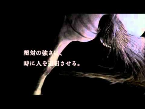 2011年 JRA_CM 「天皇賞（春）」