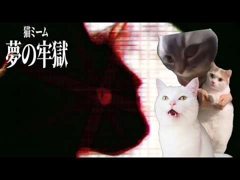 【猫ミーム】謎の牢獄から逃げ出す猫たちの物語 第3話