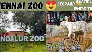 Vandalur zoo 🕊️, chennai  ❤️, Tamil nadu 💖..🐯🐎.. lots of animals and birds 🦋 .  let's enjoy it ✨....