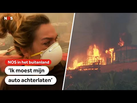 Natuurbrand teistert wijk Los Angeles, meerdere huizen in brand