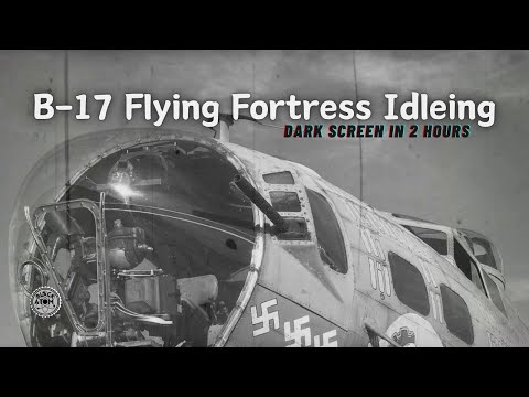 B-17 Flying Fortress Idling Engine Sound for Sleep and Relaxation