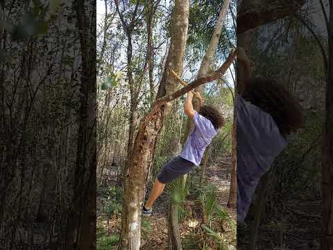 Making a bamboo muscle up bar! | Cheapest way to build a pull-up bar