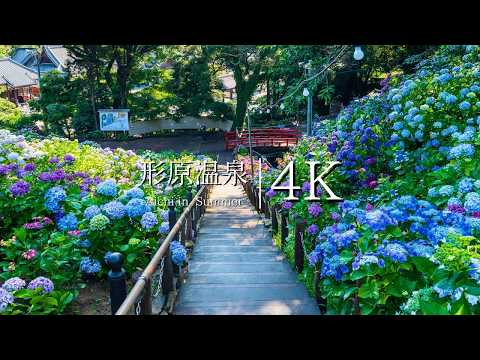 [Katahara Onsen] Visit the hydrangea village - JAPAN in 4K