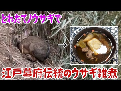 とれたてノウサギで江戸幕府伝統のウサギ雑煮