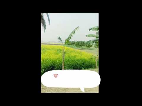 আমার গ্ৰাম/পাখিদের স্মৃতি(Iman Chakraborty)#viral #vlog