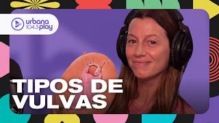 VULVAS: Lic. Cecilia Ce sobre diversidades y variantes anatómicas de las vulvas #Perros2025