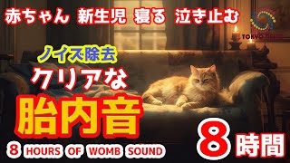 胎内音（ノイズなし）赤ちゃんが泣き止む 寝る 寝かしつけ8時間【途中広告無し】ホワイトノイズ Womb Sounds / White Noise