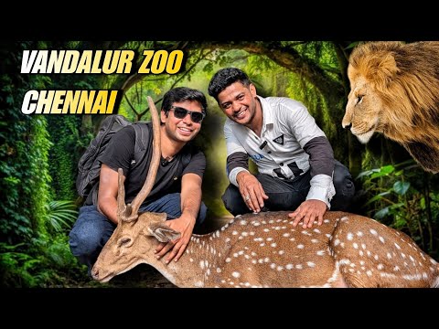 Chennai Vandalur Zoo, Tamil Nadu one of the biggest zoo in india full detail video 100% coverage