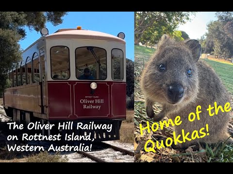 Rottnest Island Oliver Hill Railway! The Quokka Train!