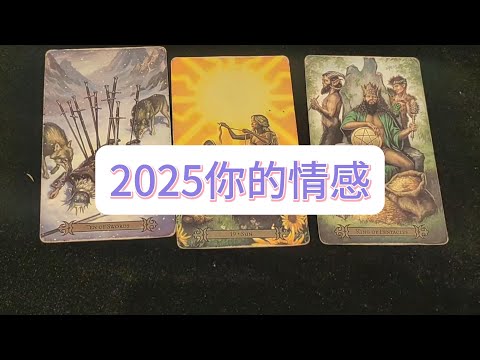 💜塔羅占卜| 2025你的情感（感情生活）