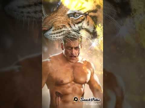 Sallu bhai sallu bhai sallu bhai