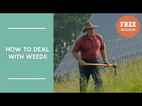 How to Deal with Weeds | Free Session from Joel Salatin's FarmLikeALunatic.com Farming Masterclass