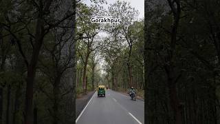 Kushmi Jungle, Gorakhpur, UP #uptown #uptourism #gorakhpur #wildlife #nature