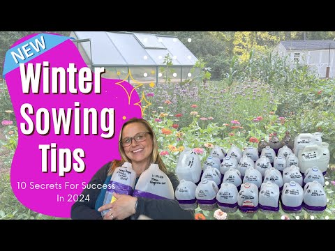 WINTER SOWING TIPS 2024 | updated super simple tips & tricks to set you up for success