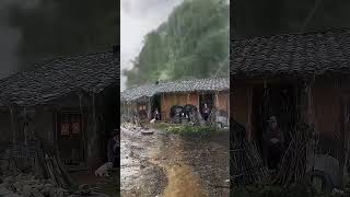 Wow it's very beautiful natural raining view#heavyrain #viralvideo #youtubeshorts