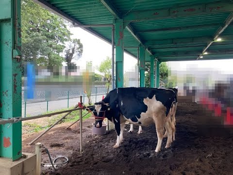 ふれあい 移動 動物園 2