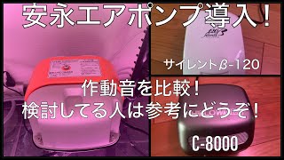 安永エアポンプ導入！リビング置いてみて音は？他のポンプと比較します！熱帯魚アクアリウム