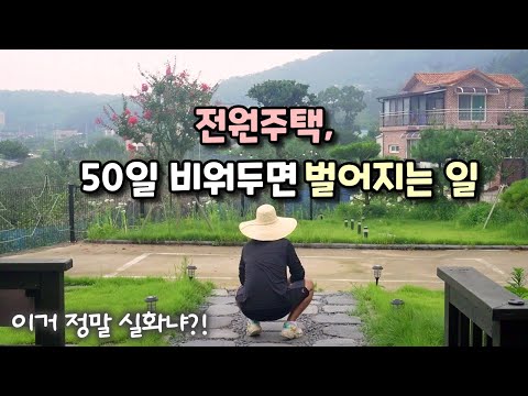 전원생활 대 위기, 전원주택 함부로 비워두면 안 되는 이유. 여름 잡초 대 참사/낭만아빠