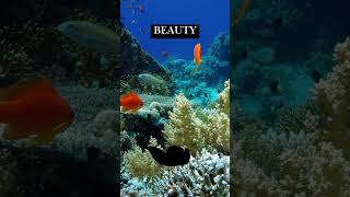 Protect Our Oceans: A Call for Change #motivation #OceanBeauty #ytshorts