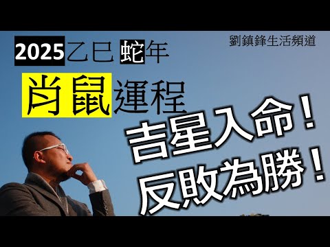 2025年肖鼠運程 |吉星入命 反敗為勝 | 龍德 紫微 | 劉鎮鋒生活頻道