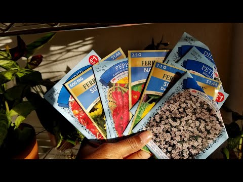 Seed Haul! Dollar Tree and Walmart