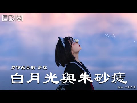 罗伊爱美丽 胖虎   白月光與朱砂痣（DJ版） 🎧抖音热门歌曲 🎧 EDM 中文歌曲 华语 Music🎧抖音热门歌曲 🎧 EDM 中文歌曲 华语 Music