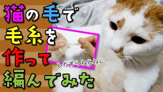 【猫 実験】猫の毛で、毛糸を作って編んでみた