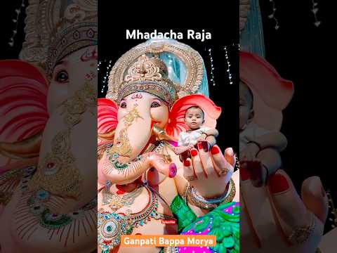 💪 Strongest Mhada cha Raja 2024 #youtubeshorts #shorts #aagmansohala2024 #mhadcharaja #bappamorya