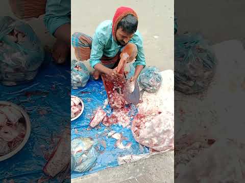 amazing cutting skills | giant fish cutting skills by expert fish cutter