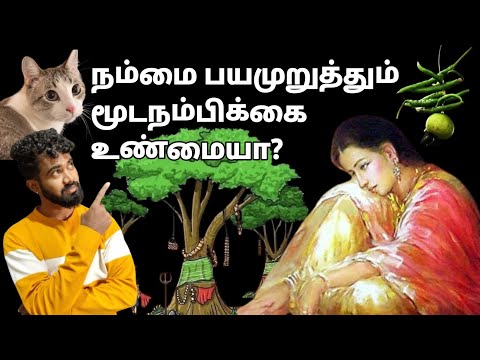 about superstition in tamil | #believe #information #facts #tamil