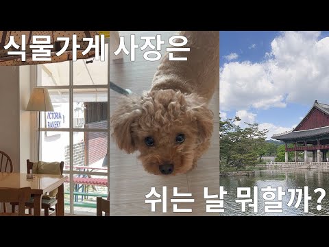 vlog. 식물가게 사장은 쉬는 날 뭐할까? 01 ( 서울 구경 / 경복궁 집옥재 / 빅토리아 베이커리 / 1박2일 도아이모)