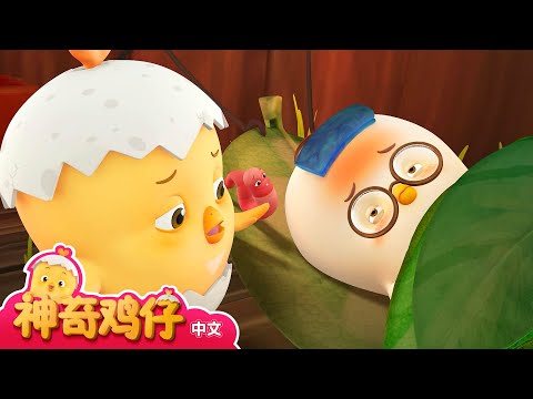 神奇鸡仔 15~17 | 30分 | 卡通動畫 | 好習慣卡通動畫 | Como Kids TV