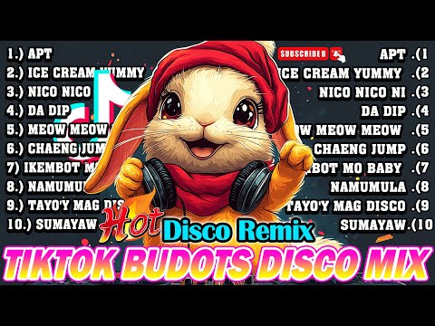 NEW TIKTOK BUDOTS DISCO DANCE REMIX NONSTOP 2024 - NEW TIKTOK MASHUP BUDOTS DANCE REMIX 2024