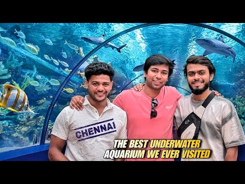 The best underwater aquarium we ever visited till now (VGP Marine Kingdom) in chennai 100% coverage