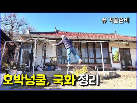 겨울준비 / 호박넝쿨, 국화, 틀밭 정리 등 / countryside, rustic