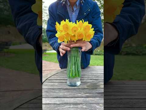 Easy Daffodil Flower Arrangement