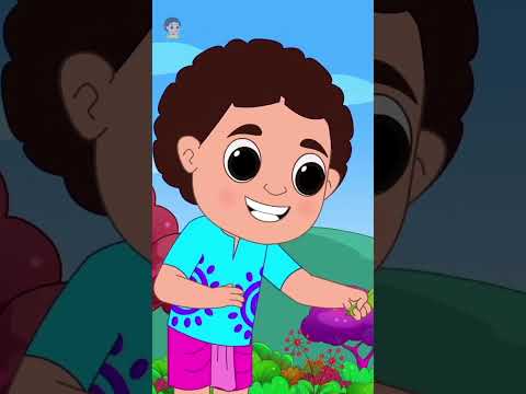 Hattimatim Tim Tim Bangla Kobita, হাতিমাটিম টিম টিম, Kindergarten Bengali Song #trending #shorts