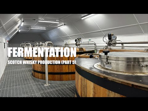 Fermentation - From Wort To Wash