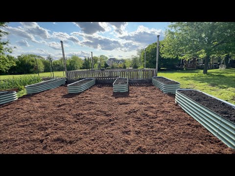 IT FINALLY HAPPENED 👀 Check out my Vego garden bed addition! #howto #gardening #homestead