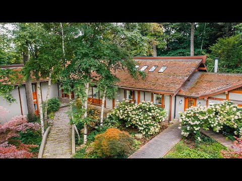 This ABANDONED $11,000,000 Japanese Style Mansion In the Woods was SEIZED BY THE GOVERNMENT