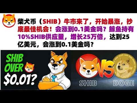 柴犬币（SHIB）牛市来了，开始暴涨，抄底最佳机会！会涨到0.1美金吗？鲸鱼持有10%SHIB供应量，增长25万倍，达到25亿美元，会涨到0.1美金吗？#shib币#柴犬币#屎币行情分析