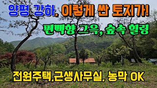 숲속 힐링과 쉼터 땅값 싼 양평 토지 땅 부동산 매매 매물 급매 급매매 급매물/강하면