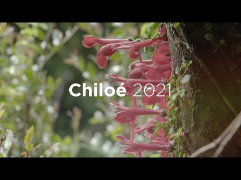 Chiloé 2021 - Saludo