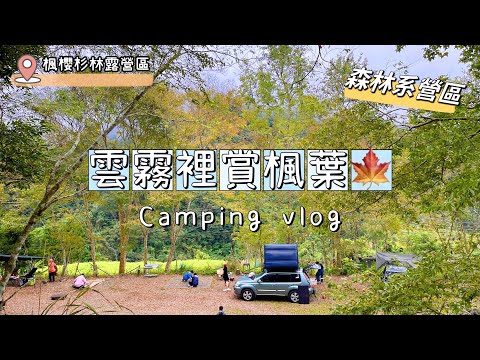 『 露營⑬Vlog 』｜楓櫻杉林露營區｜楓葉季追楓又失敗了啦😱｜森林系營區｜車頂帳露營｜親子露營