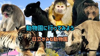 日立かみね動物園〜動物園に行ってみよう〜