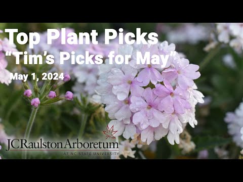 Top Plant Picks - "Tim's Picks for May"