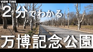 [Expo'70 Commemorative Park] (Introduction of sightseeing spots / Osaka / Travel )