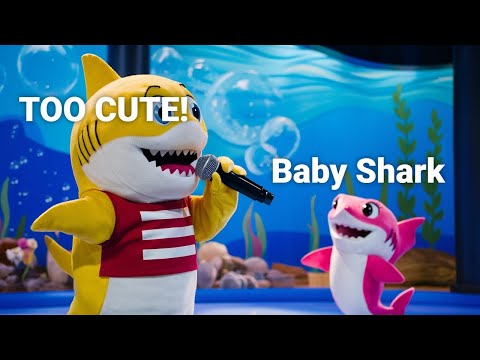 Get Ready for the BIGGEST Baby Shark Dance Party of 2024!