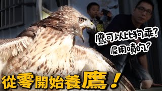 Raising Animal 101: Eagle－Eagle is more obedient than dog? Eagle sprayed their shit?